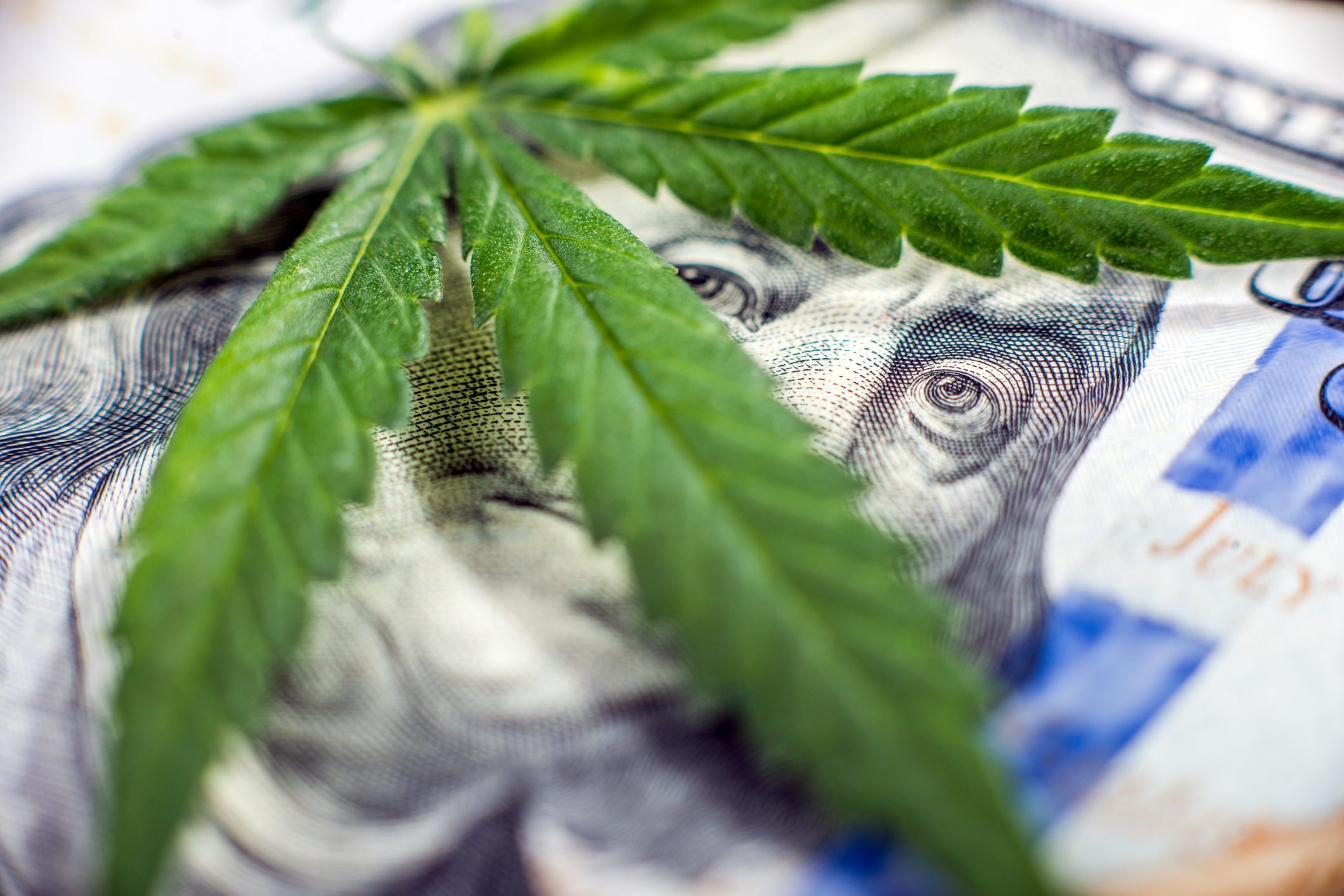 Cannabis & Money